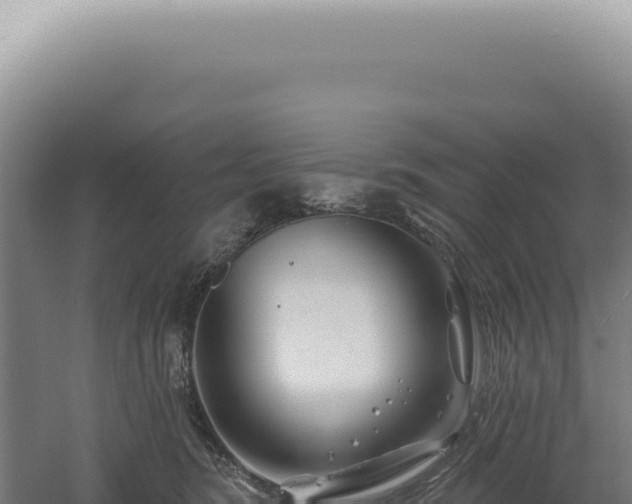 X0000060580420200511101701