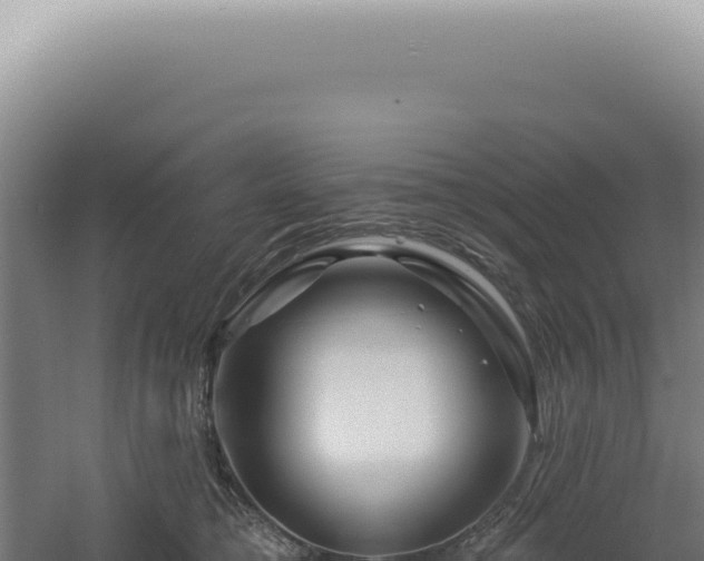 X0000060580421200511101701