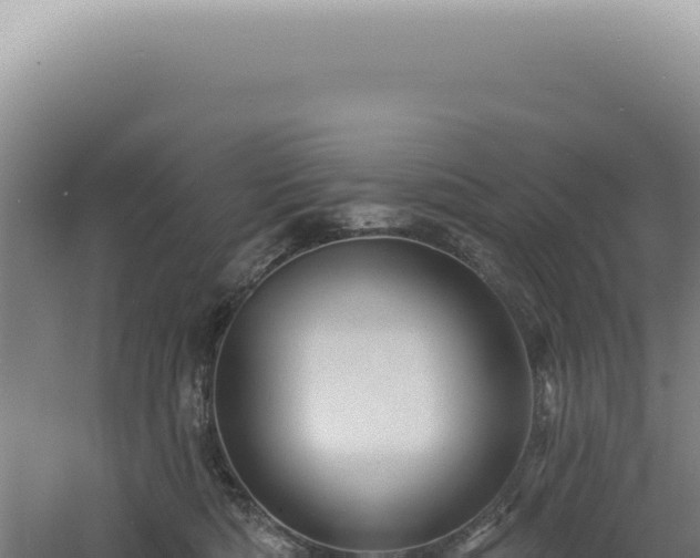 X0000060580422200511101701