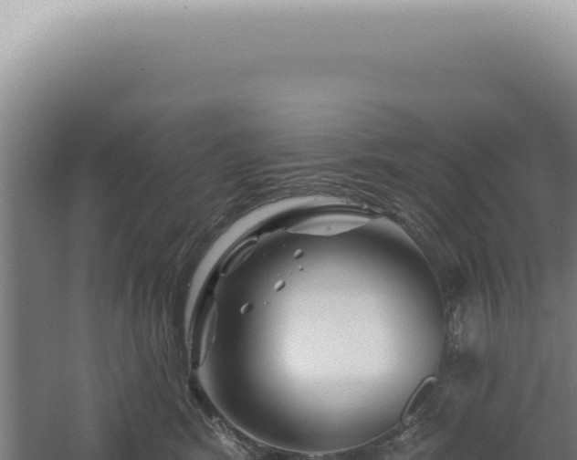 X0000060580424200511101701