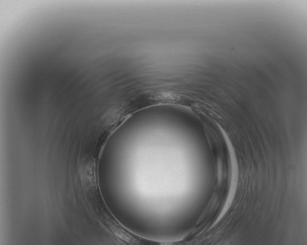 X0000060580425200511101701