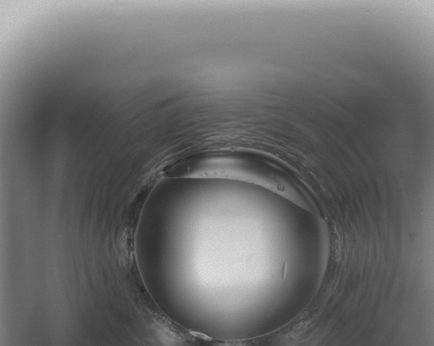 X0000060580428200511101701