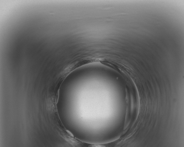 X0000060580429200511101701