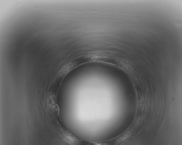 X0000060580430200511101701