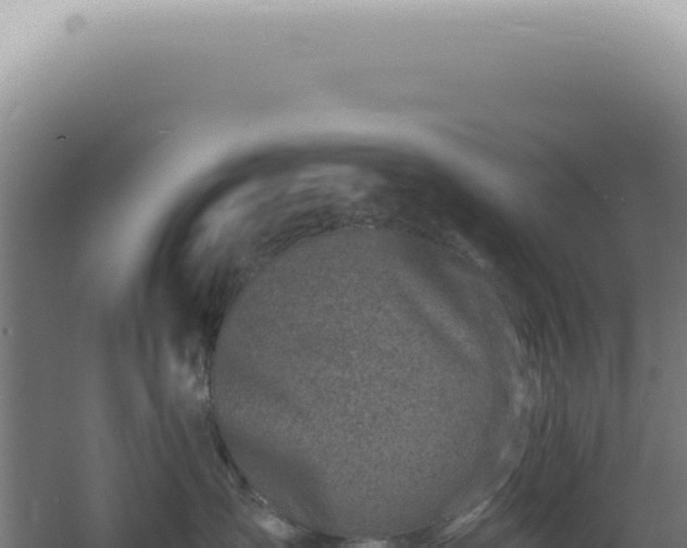 X0000060580431200511101701