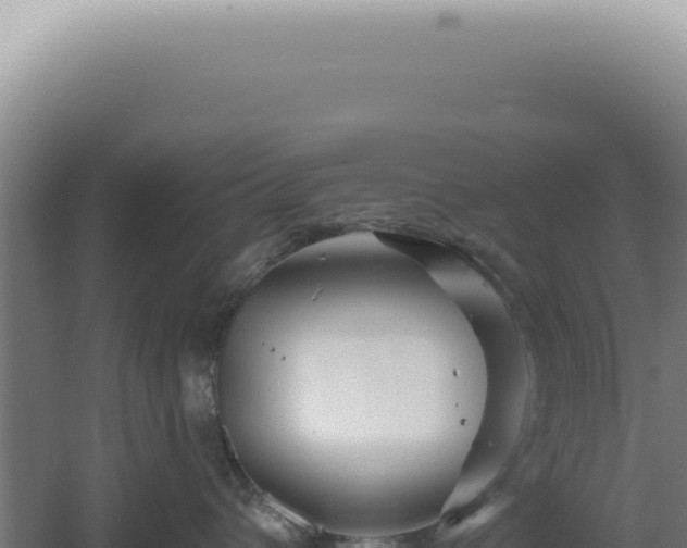 X0000060580432200511101701