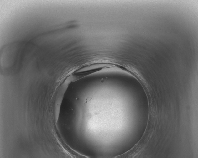 X0000060580433200511101700