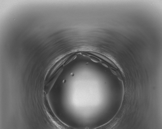 X0000060580437200511101700