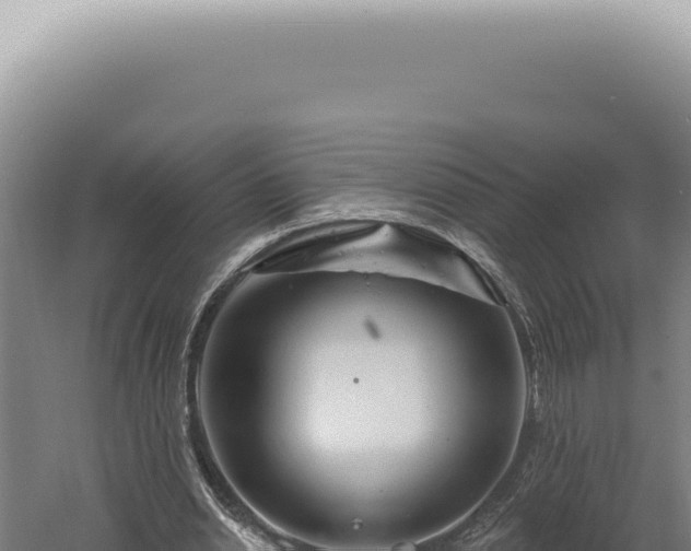 X0000060580438200511101700