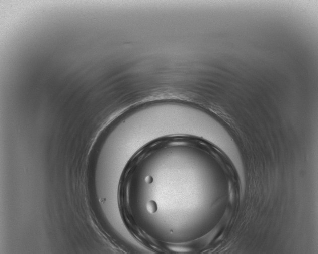 X0000060580440200511101700