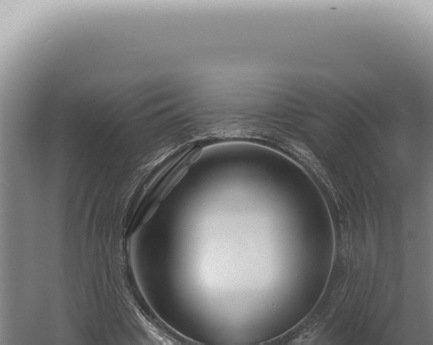 X0000060580441200511101700