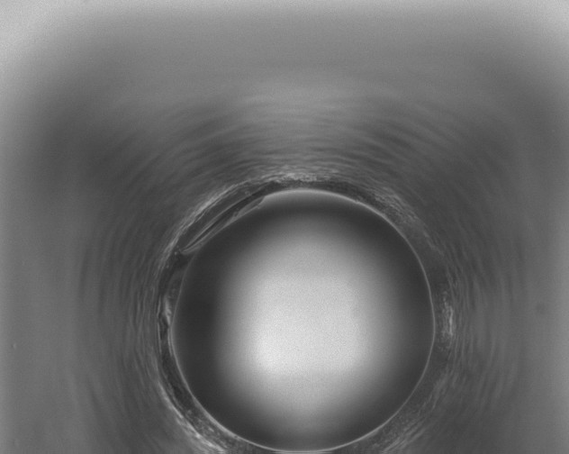 X0000060580444200511101700