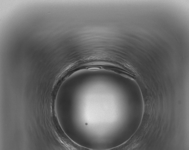 X0000060580446200511101700