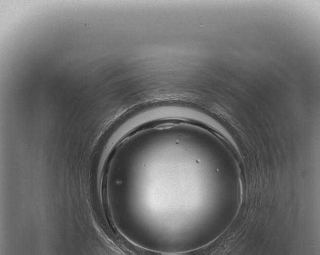 X0000060580448200511101700