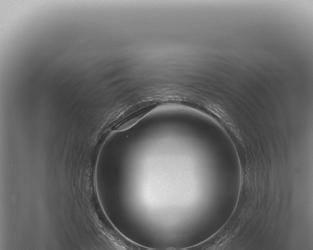 X0000060580449200511101700