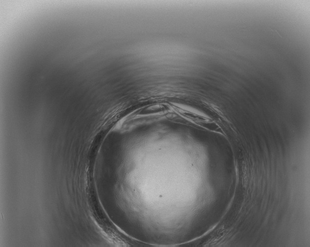 X0000060580451200511101700