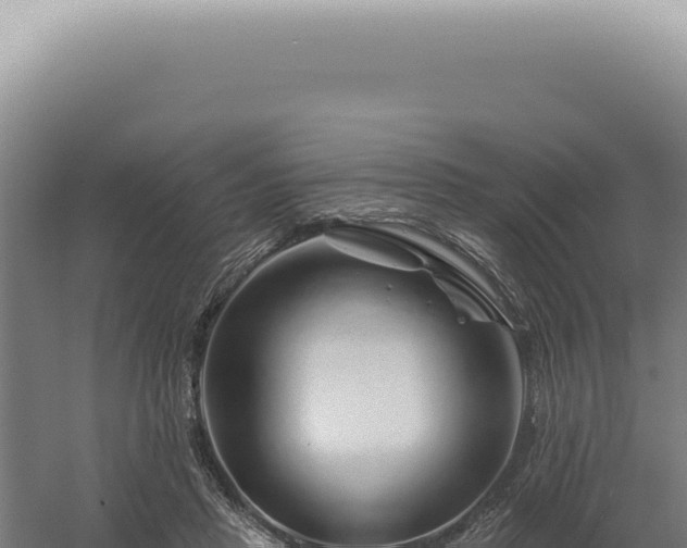 X0000060580453200511101700