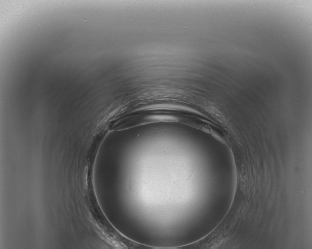 X0000060580454200511101700