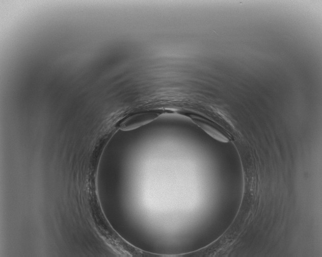 X0000060580455200511101700