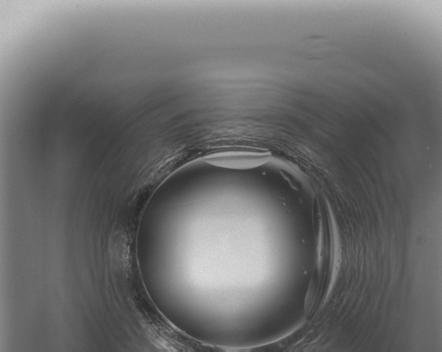 X0000060580456200511101700