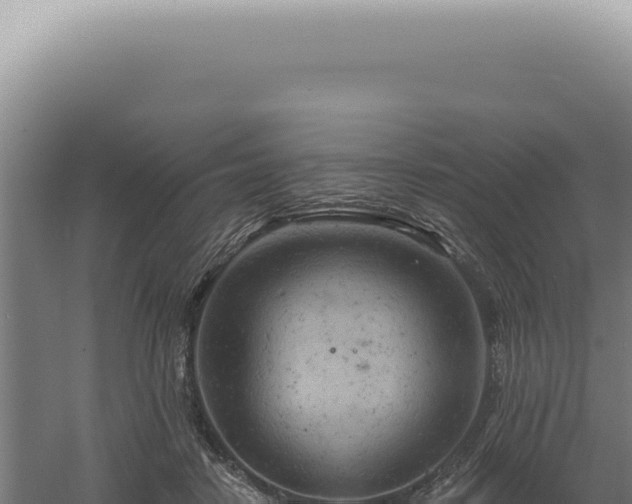 X0000060580458200511101700