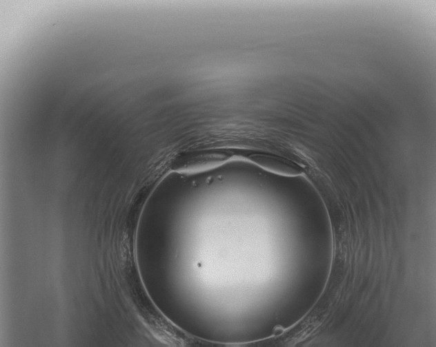 X0000060580459200511101700