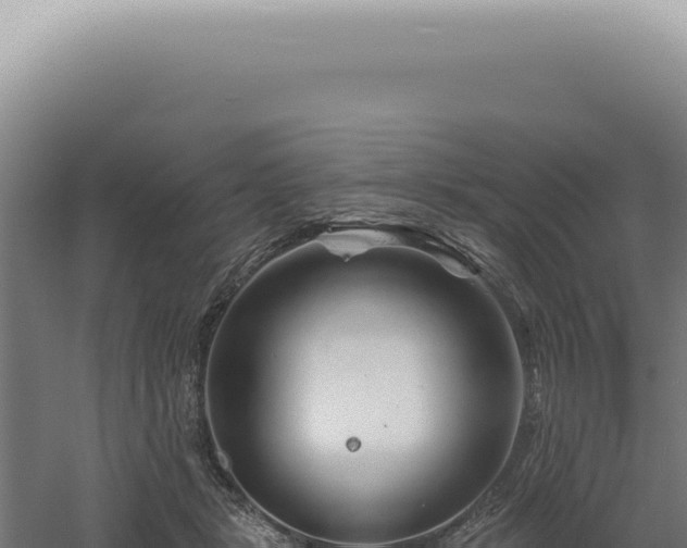 X0000060580461200511101700