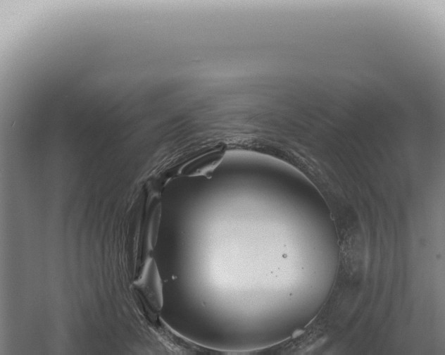 X0000060580462200511101700