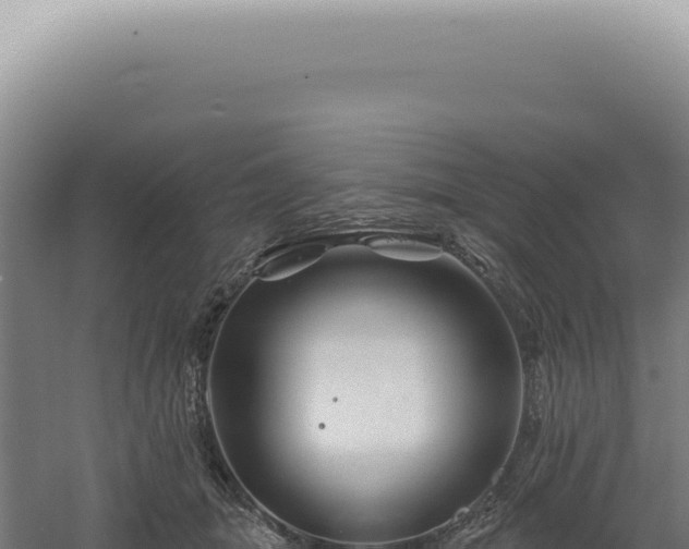 X0000060580463200511101700