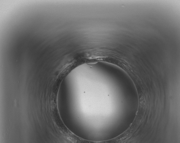 X0000060580464200511101700