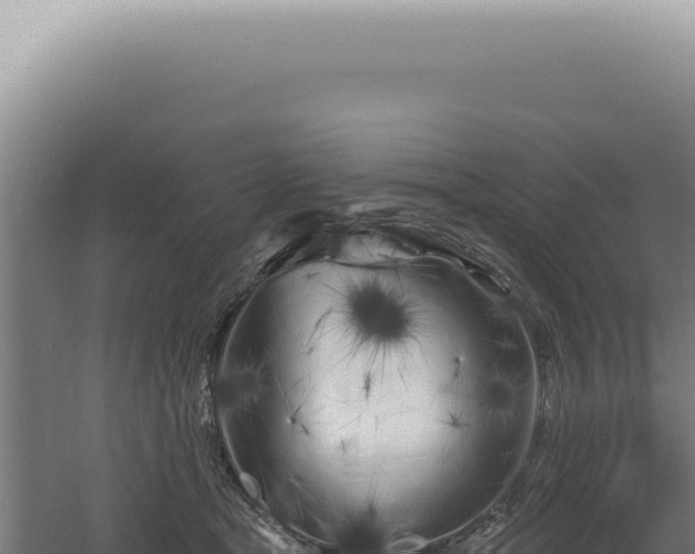 X0000060580465200511101700