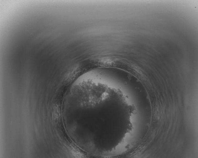 X0000060580467200511101700