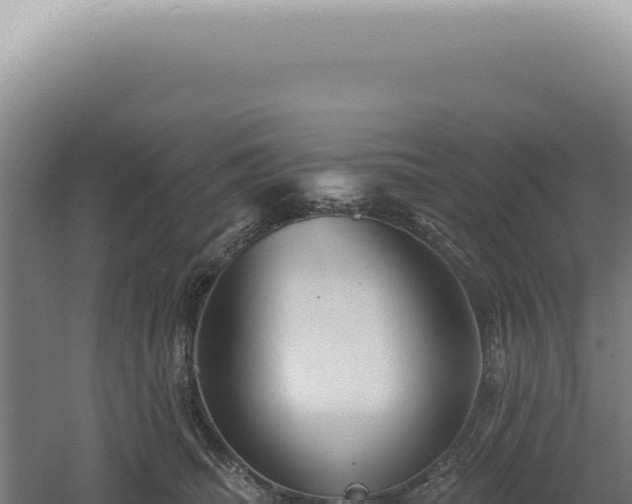 X0000060580468200511101700