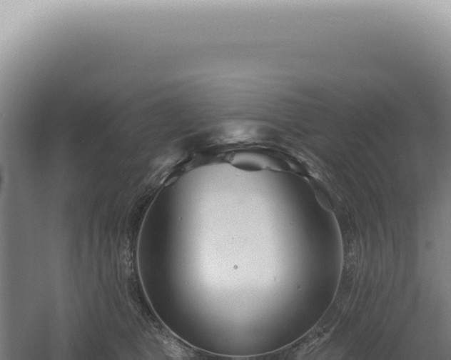 X0000060580469200511101701