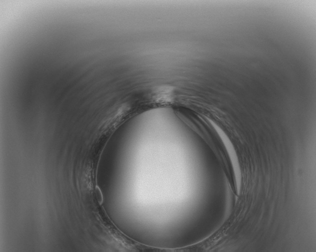 X0000060580470200511101701