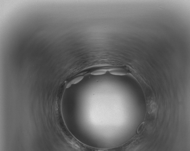 X0000060580472200511101701