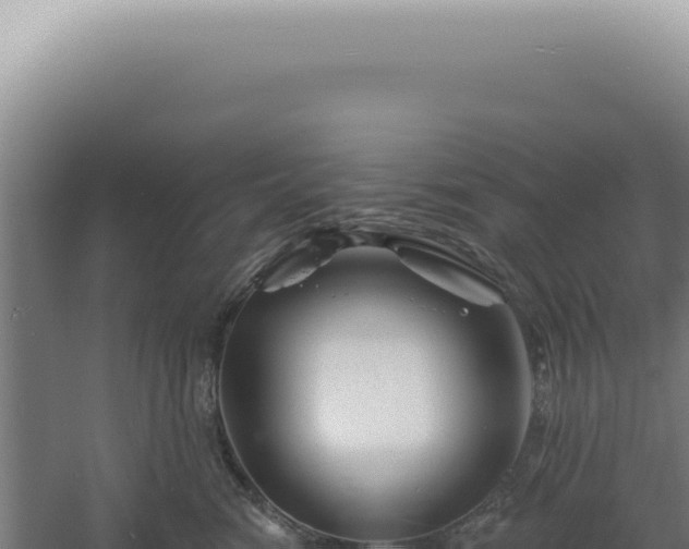 X0000060580474200511101701