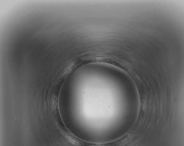 X0000060580476200511101701