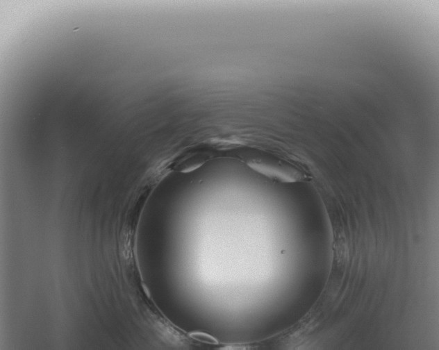 X0000060580477200511101701