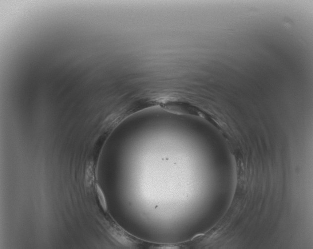 X0000060580478200511101701