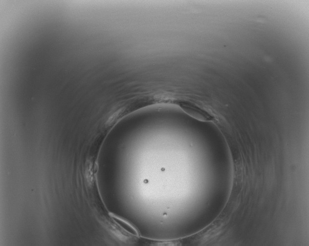 X0000060580479200511101701