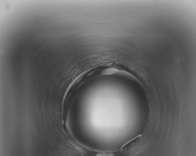 X0000060580480200511101701