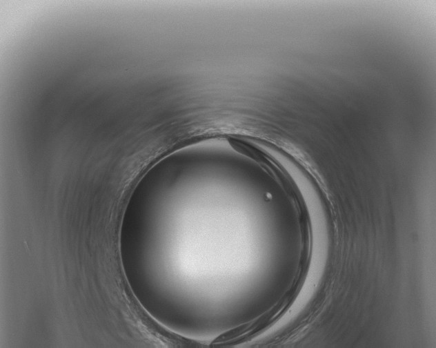 X0000060580481200511101700