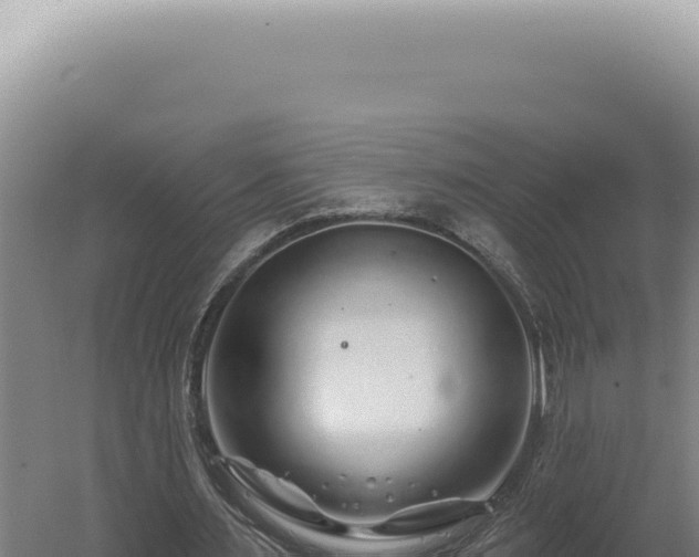 X0000060580483200511101700