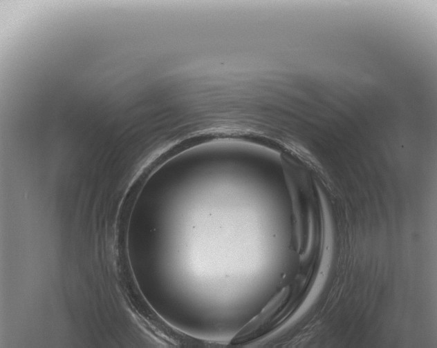 X0000060580484200511101700