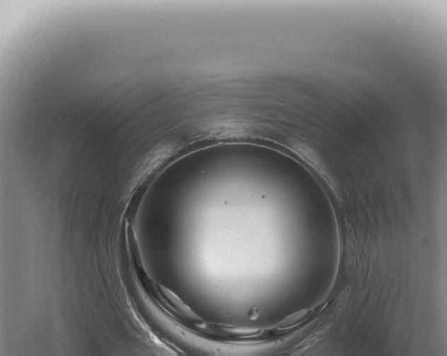 X0000060580485200511101700