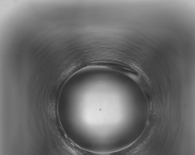 X0000060580489200511101700