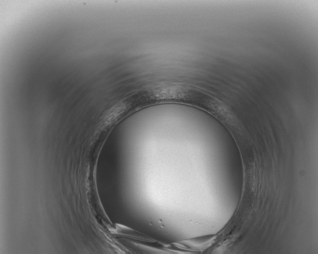 X0000060580490200511101700