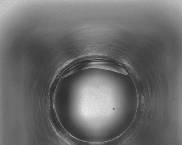 X0000060580492200511101700