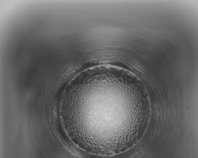 X0000060580499200511101700